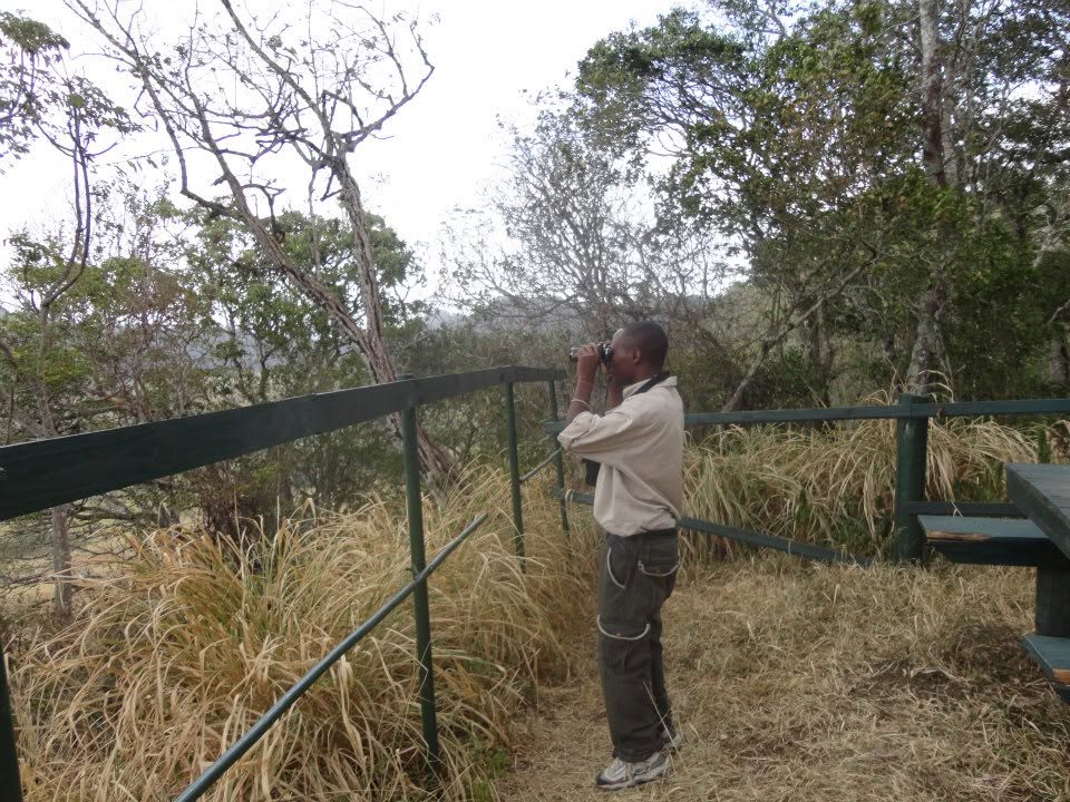 Gregory Njau, Founder of Birds & Environment Safaris